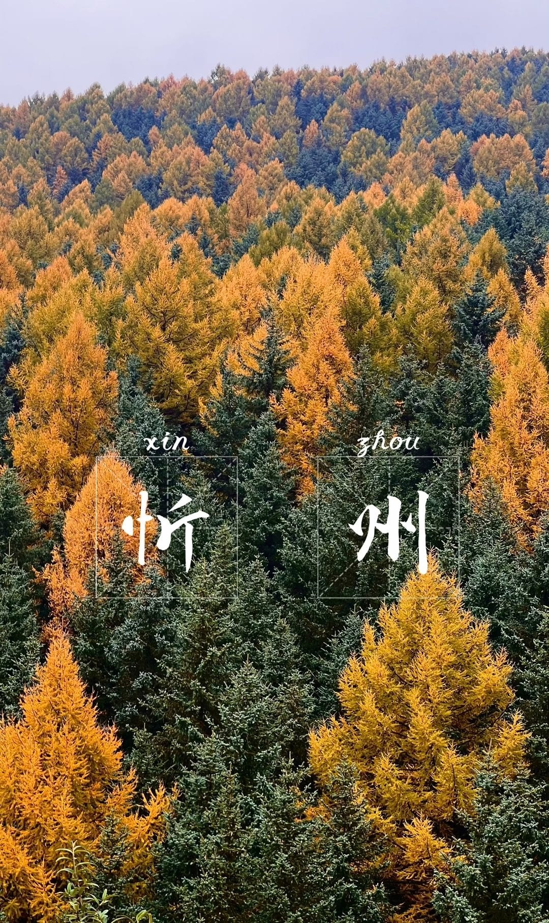 中秋  一座被低估的好山好城  |  忻州古城 芦芽山